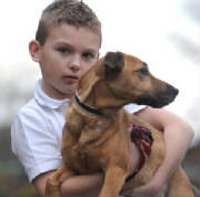 AutisticboypetchasedbyWealdenMHhounds2-12.jpg