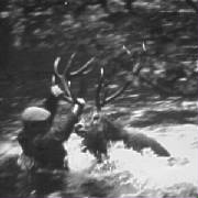 Barlestagblackandwhite.jpg