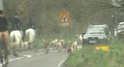 CattistockonA30_2_8-12-11.jpg