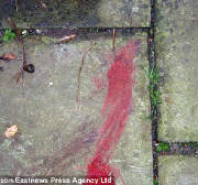 MickHeathspatioisstillstainedwithbloodEssexSuffolkFHoutrage10-12-11.jpg