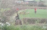 N.ShropsFHkillfoxatMarchamley25-1-12.jpg