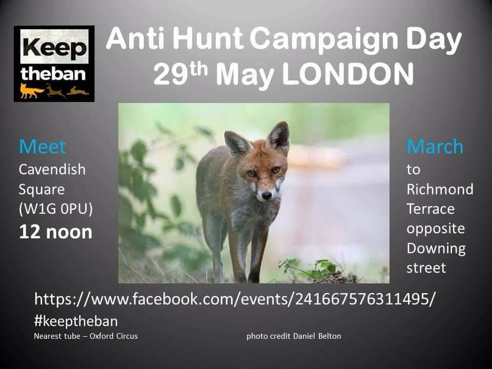 Antihuntcampaignday29-5-17.jpg Antihuntcampaignday29-5-17.jpg