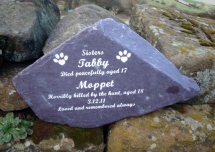 AtkinsonmemorialtoMoppetKilledbyhounds12-11.jpg