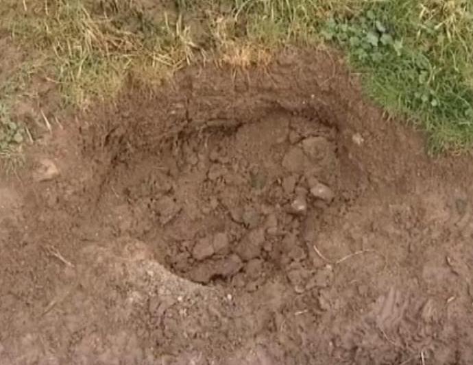 BadgersettholeblockedpresumedbyLedburyFHinbadgercullzone26-9-12.JPG