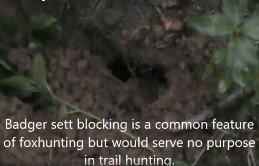BeaufortFHEarlymorningCubhuntingBlockedsett4-9-17.jpg BeaufortFHEarlymorningCubhuntingBlockedsett4-9-17.jpg