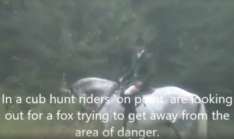 BeaufortFHEarlymorningCubhuntingRideronpoint4-9-17.jpg BeaufortFHEarlymorningCubhuntingRideronpoint4-9-17.jpg
