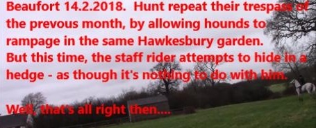 BeaufortFHReinvadebannedgarden14-2-18.jpg BeaufortFHReinvadebannedgarden14-2-18.jpg