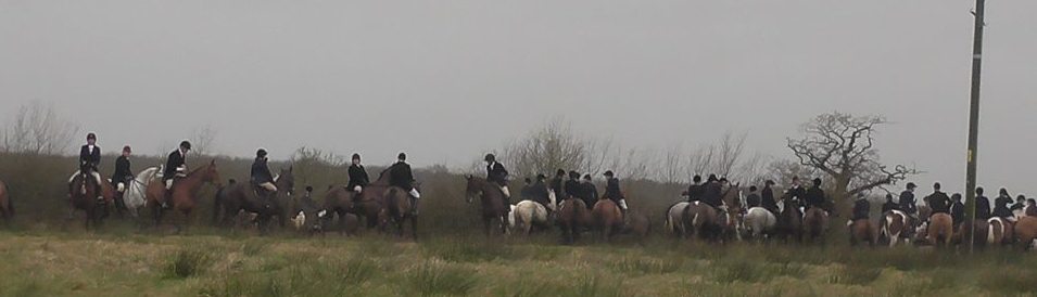 BeaufortFHThefield14-2-18.jpg BeaufortFHThefield14-2-18.jpg
