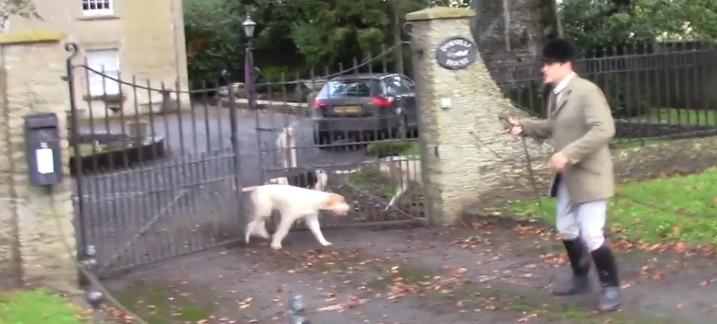 BeaufortFHWhiphounds16-10-19.jpg BeaufortFHWhiphounds16-10-19.jpg