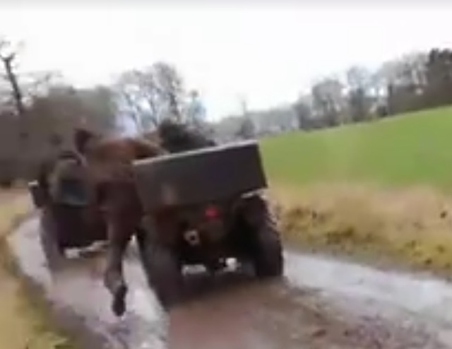 BerwickshireFHTerriermanwhojusttriedtohitsabnearlyfalloffquad11-3-17.jpg BerwickshireFHTerriermanwhojusttriedtohitsabnearlyfalloffquad11-3-17.jpg