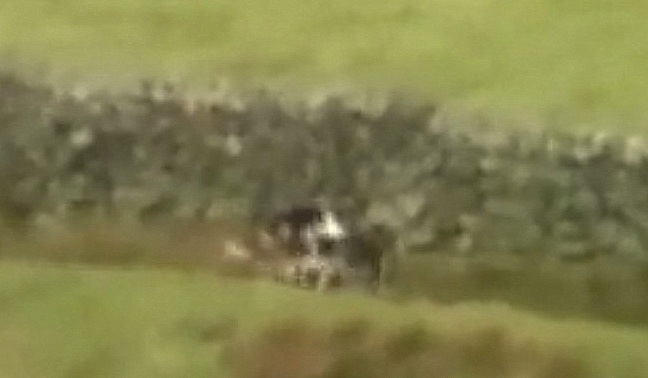 BlencathraFHkillfoxonNTland.jpg BlencathraFHkillfoxonNTland.jpg
