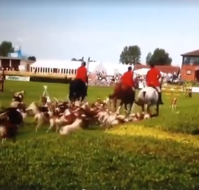 BurtonFHatLincsShow.jpg BurtonFHatLincsShow.jpg
