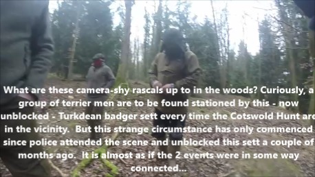 CotswoldFHTerriermenhangingroundbadgersett19-3-17.jpg CotswoldFHTerriermenhangingroundbadgersett19-3-17.jpg