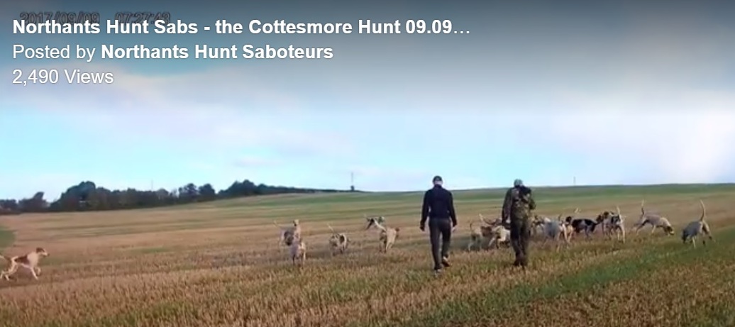 CottesmoreFHNaughtysabstakepackwalkies9-9-17.jpg CottesmoreFHNaughtysabstakepackwalkies9-9-17.jpg