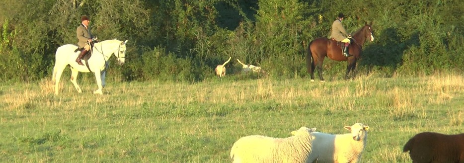 CrawleyFHCubbingsheepfield22-9-19.jpg