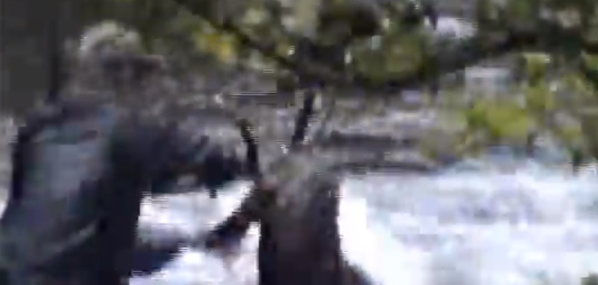DSSHgrabbedantlers29-9-94.jpg DSSHgrabbedantlers29-9-94.jpg