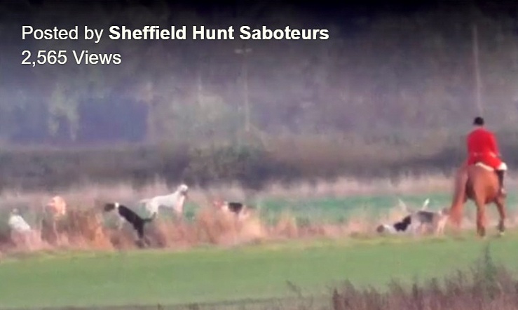 DerwentFHHoundssearchingforfoxHuntsmannotcallingthemoff1-11-16.jpg DerwentFHHoundssearchingforfoxHuntsmannotcallingthemoff1-11-16.jpg