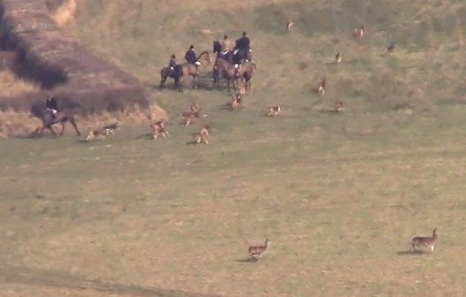 EggesfordFHHuntscaringdeer18-2-17.jpg EggesfordFHHuntscaringdeer18-2-17.jpg
