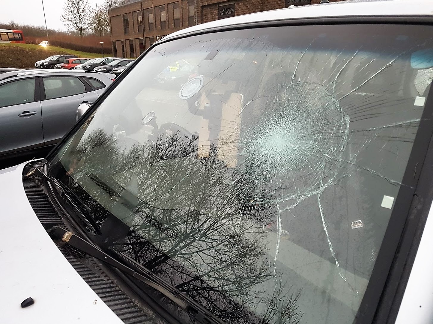 FitzwilliamFHThugsmashedoccupiedsabcarwindscreen10-2-218.jpg FitzwilliamFHThugsmashedoccupiedsabcarwindscreen10-2-218.jpg