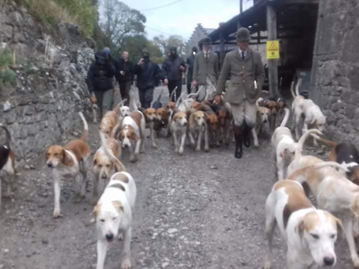 FlintDenbighFSabswalkHuntsmanbacktokennels8-9-18.jpg FlintDenbighFSabswalkHuntsmanbacktokennels8-9-18.jpg