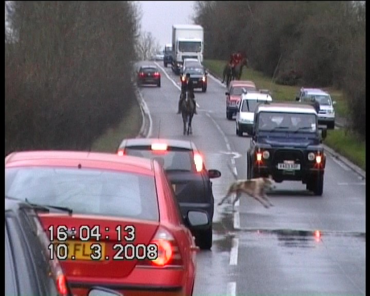 Hounds on the A429 Fosseway