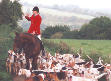 GoldenValleyHuntsmanandhounds.jpg