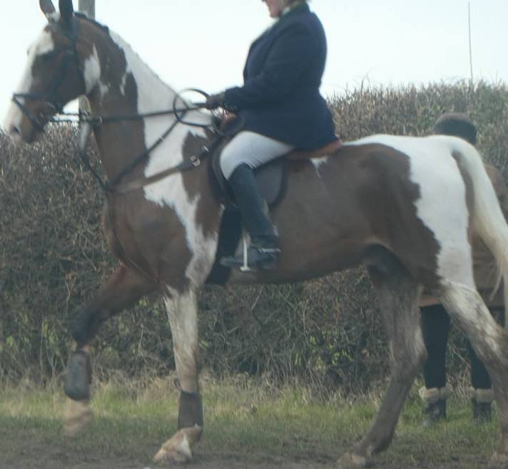 GroveandRuffordFHJaneWrightWhiponemaciatedhorseConvictedillegalhunting2017_17-2-18.jpg GroveandRuffordFHJaneWrightWhiponemaciatedhorseConvictedillegalhunting2017_17-2-18.jpg