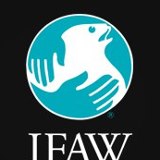 IFAWlogo.jpg