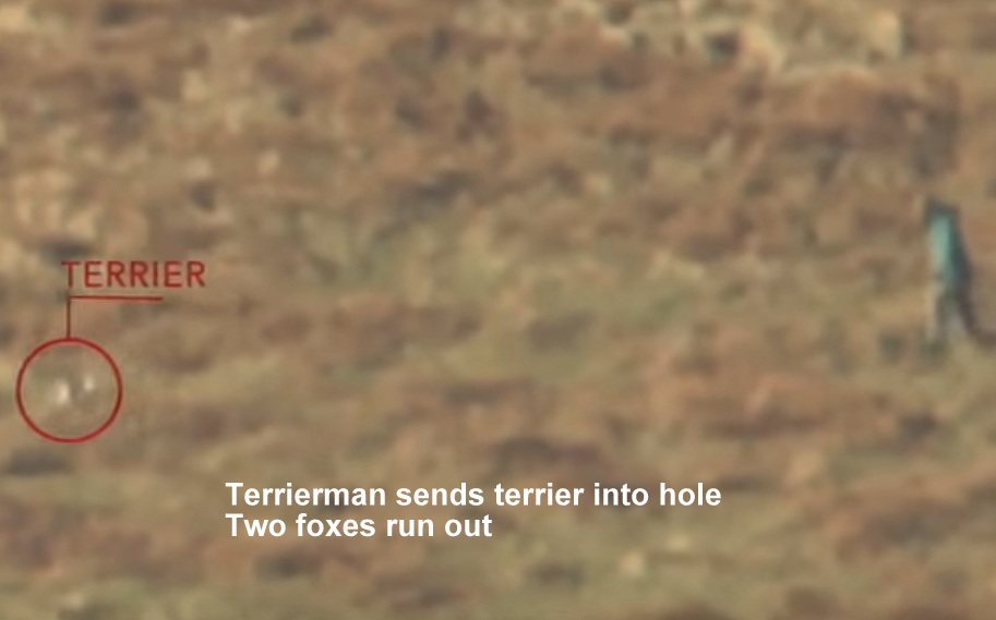 JedforestFHLACSfootage2.jpg JedforestFHLACSfootage2.jpg