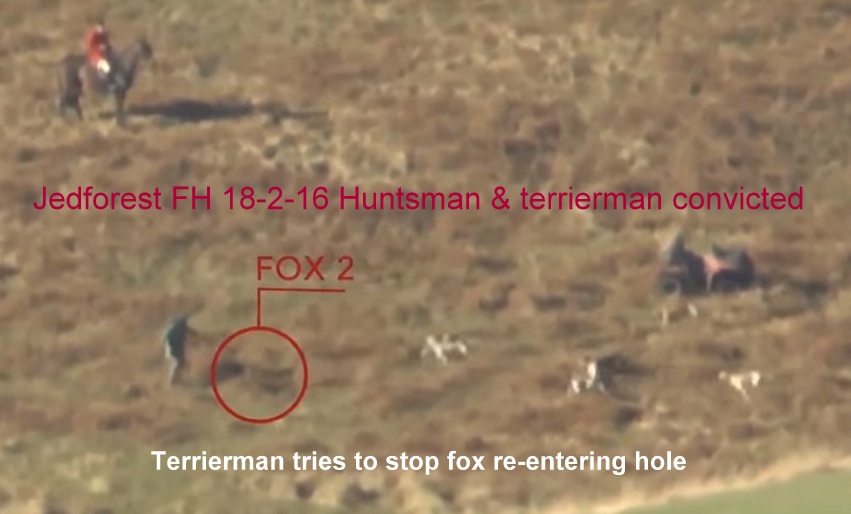 JedforestFHLACSfootage6.jpg JedforestFHLACSfootage6.jpg