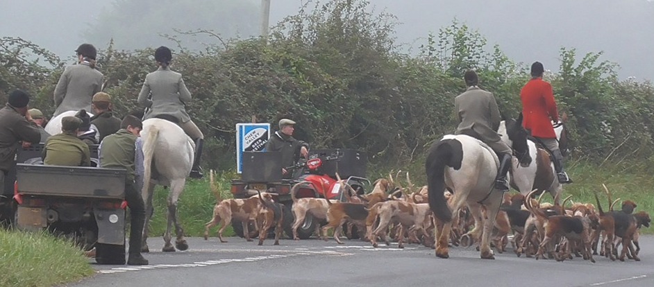 MendipFarmersFHCubbing26-8-19.jpg MendipFarmersFHCubbing26-8-19.jpg