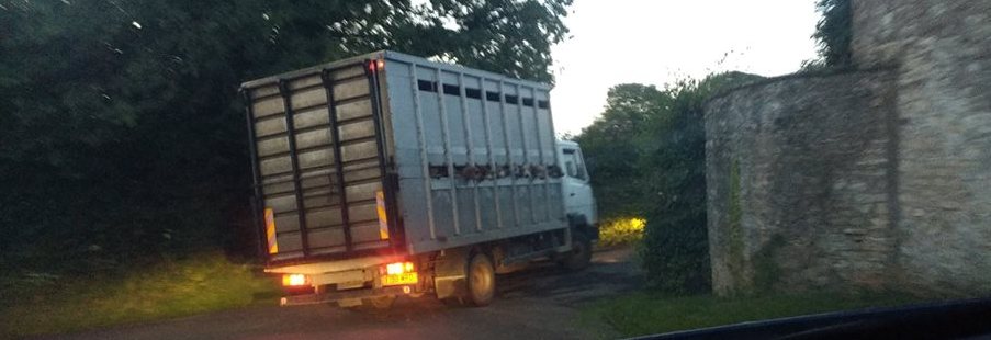 MendipFarmersFHHoundvanonwaytocubhunt25-8-18.jpg MendipFarmersFHHoundvanonwaytocubhunt25-8-18.jpg