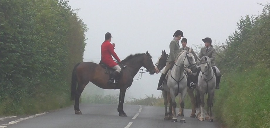 MendipFarmersFHMisty26-8-19.jpg