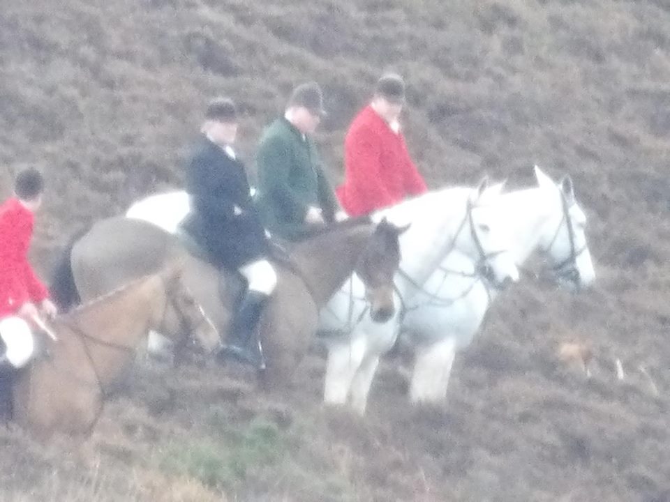 MineheadHarriersandTivertonFHhuntingonNTland29-1-17.jpg MineheadHarriersandTivertonFHhuntingonNTland29-1-17.jpg
