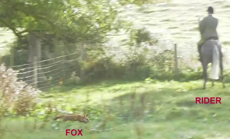 N.CotswoldFHCubbingFoxonrun7-9-17.jpg N.CotswoldFHCubbingFoxonrun7-9-17.jpg
