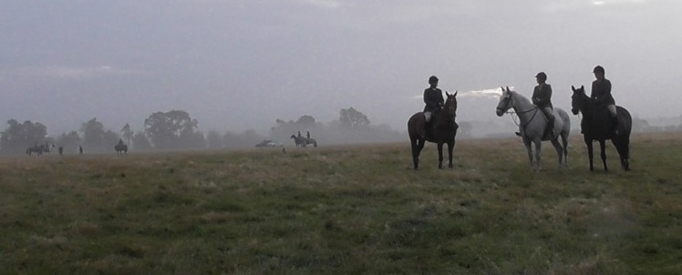 N.CotswoldFHMisty11-9-19.jpg