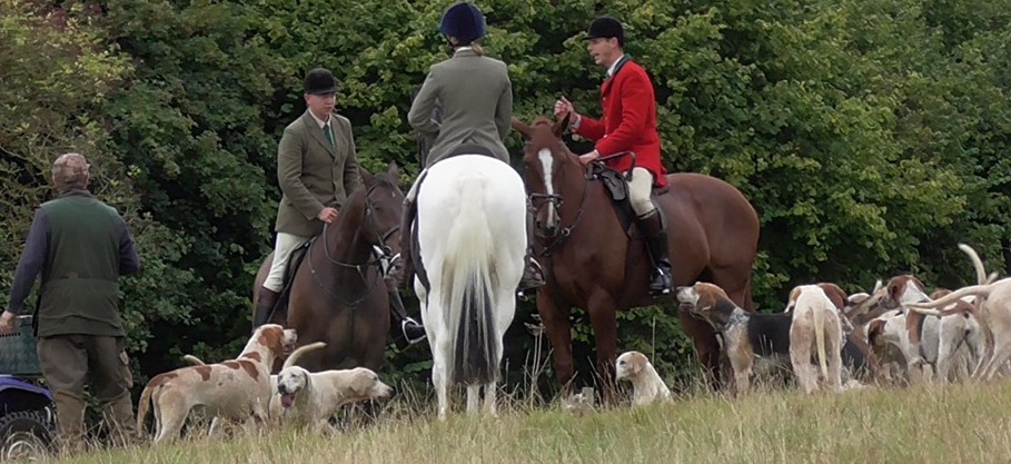 N.HerefordshireFHNew7-9-19.jpg N.HerefordshireFHNew7-9-19.jpg