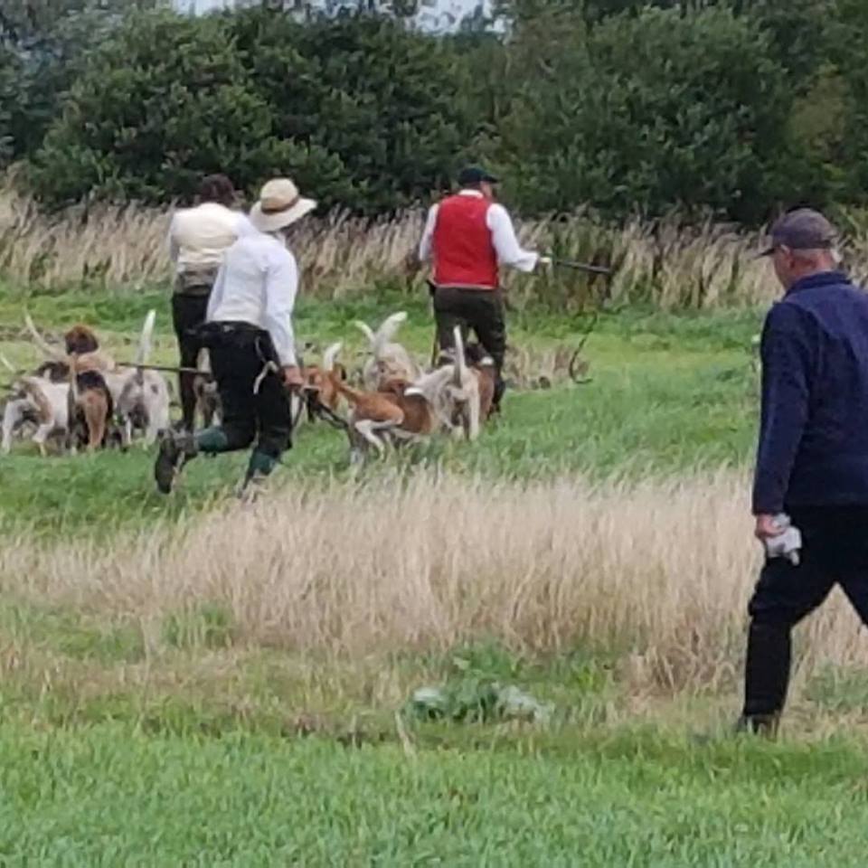 NorthantsMHfleeingsabs19-8-17.jpg NorthantsMHfleeingsabs19-8-17.jpg