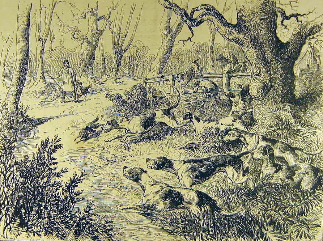 Oldstylecubhunting.jpg