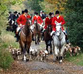 PendleForestandCravenHarriers.jpg