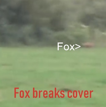 PortmanFHFoxbreakscover6-10-18.jpg PortmanFHFoxbreakscover6-10-18.jpg