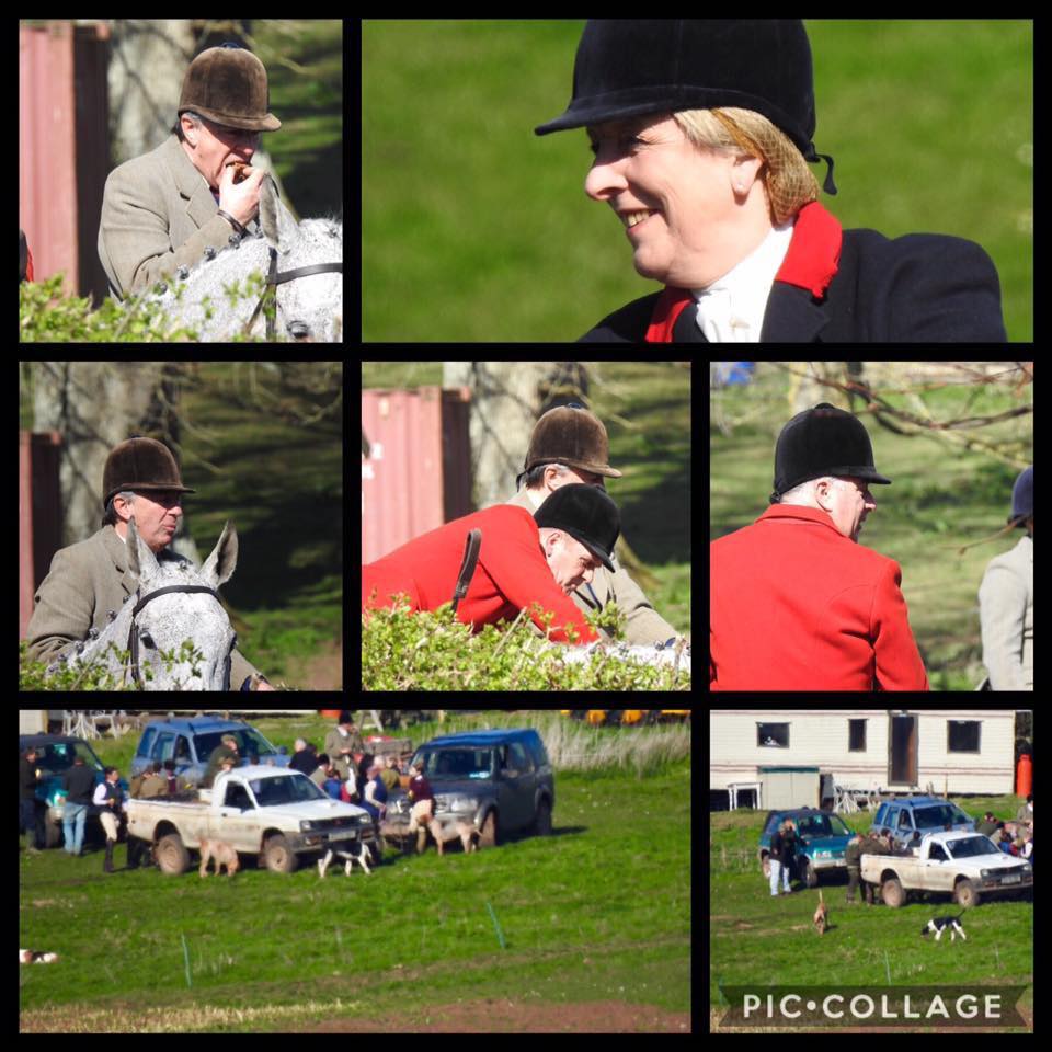 QuantockSHCollage8-4-19.jpg