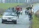 SouthDorsetFH.jpg