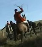 SouthDownEridgeSabWhipped10-12-11.jpg