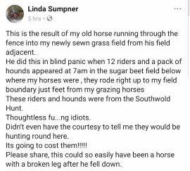 SouthWoldFHSendresidentshorseintopaniccausingdamage18-9-18.jpg SouthWoldFHSendresidentshorseintopaniccausingdamage18-9-18.jpg