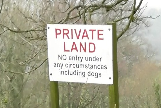 TauntonValeFHSeemsHuntcantreadanybetterthanhounds11-3-17.jpg TauntonValeFHSeemsHuntcantreadanybetterthanhounds11-3-17.jpg