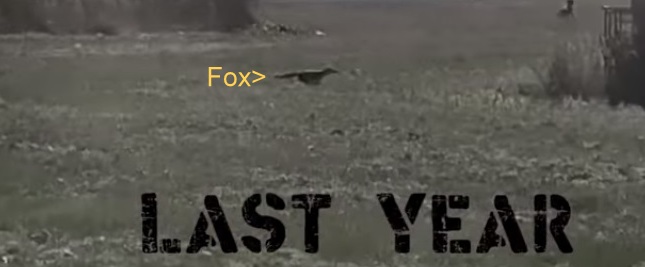 WarksFHFoxfleesLastyear15-10-19.jpg WarksFHFoxfleesLastyear15-10-19.jpg