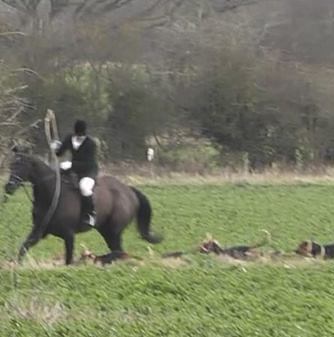 WaveneyHarriersWhipwhippinghound3-2-18.jpg WaveneyHarriersWhipwhippinghound3-2-18.jpg