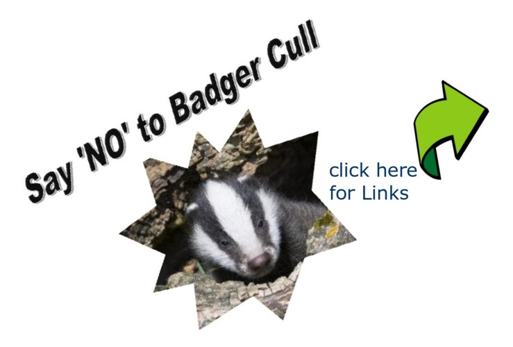 badgerslogancrop.jpg