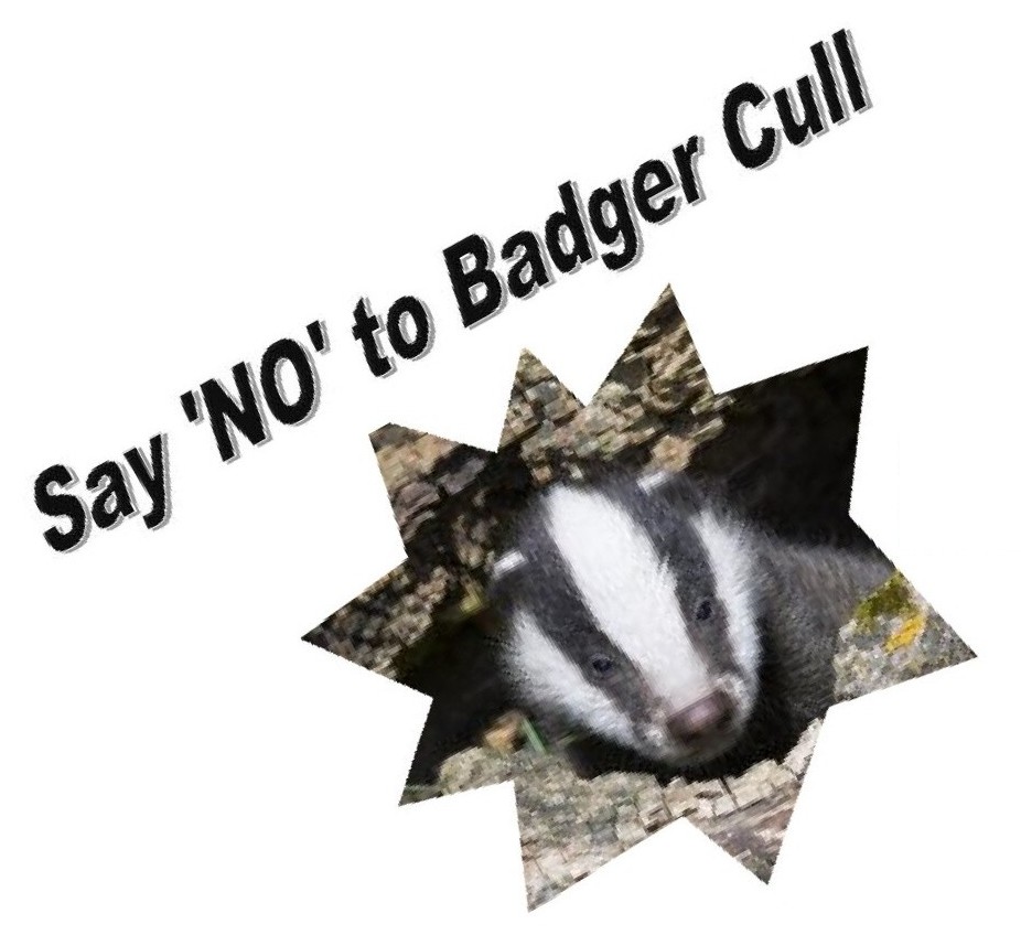 badgerslogannolink.jpg